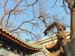 -贤良祠