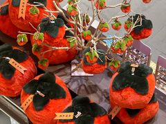 -鹏佳腾学生文创