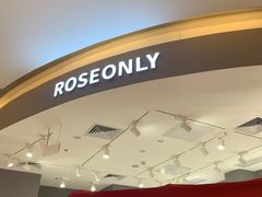 -ROSEONLY诺誓(广州K11店)