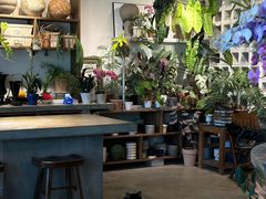 -自由生长植物工作室(深港花卉中心店)