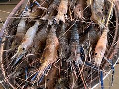 -小象钓虾·营地烧烤(洛溪店)