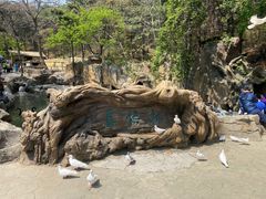 -燕塞湖鸟语林景区