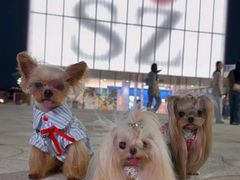 -深圳湾万象城(南山店)