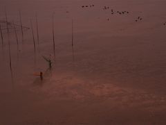 -北岐滩涂