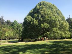 -生态园山庄(森林公园店)