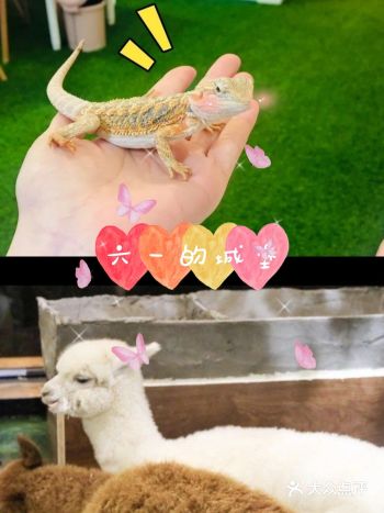 六一要来啦，不知道带小朋友去哪玩的家长们，不如一起来