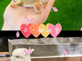 六一要来啦，不知道带小朋友去哪玩的家长们，不如一起来