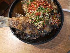 -聚鑫朋酸菜肥肠(文艺路口店)