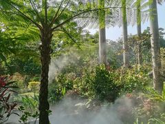 -东莞植物园