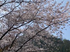 -黔灵山公园