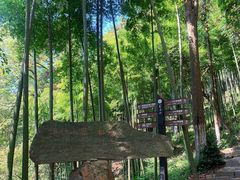 -莫干山风景区