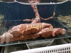 -日丰园海肠水饺·老字号大连海鲜(和平广场店)