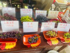 -马陆小张葡萄园农家乐