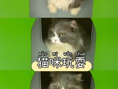 -福田卓悦INTOWN购物中心