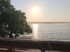 -宝安西湾红树林湿地公园