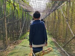 -新地休闲农场