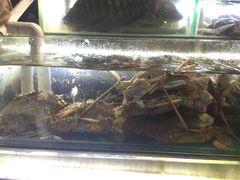 -覃记海鲜美食餐厅