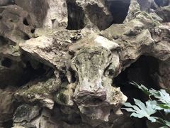 -苏州汇融广场假日酒店