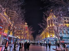 -华梅西餐厅(哈尔滨中央大街店)