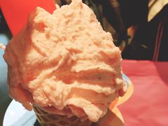 -野人牧坊Gelato(天津南开大悦城店)