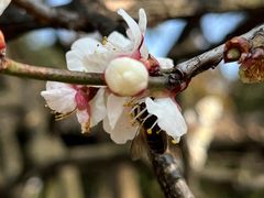 -好福记饭店(红梅公园店)