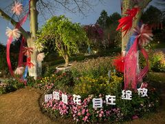 -东莞植物园