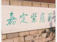 -嘉定紫藤园