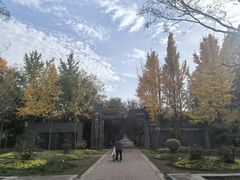 -洛阳市隋唐城遗址植物园
