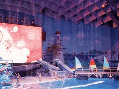 -海合安武汉极地海洋公园