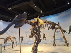 -辽宁古生物博物馆