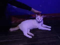 -星宿秘码(鼓浪屿老店)