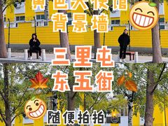 -三里屯东五街银杏大道