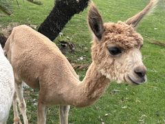 -东南花都花博园