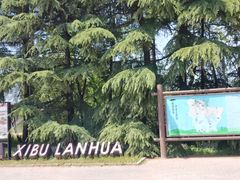 -西部兰花园生态园