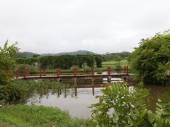 -中国科学院西双版纳热带植物园