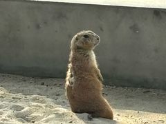 -苏州太湖西山岛开心农场