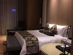 -深圳温德姆至尊酒店