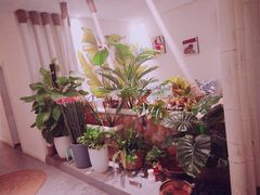 -北里·4k影院式足疗SPA馆(观音桥店)