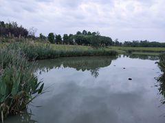 -两河城市森林公园