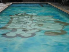 -汪说喵讲宠物乐园宠物酒店(红星美凯龙店)