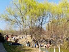 -西安浐灞国家湿地公园