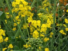 -中国天府农业博览园