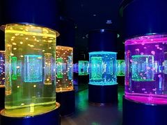 -辛玛王国游乐园