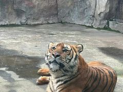 -南昌动物园