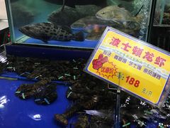-东江海鲜酒家(艺都分店)