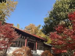 -求雨山文化公园