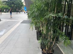 -京基滨河时代广场