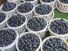 -南坛综合农贸市场