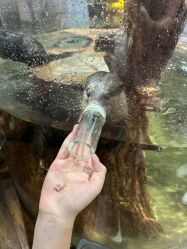 -Zoolung Zoolung动物主题公园(海信广场店)