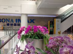 门面-博纳国际影城IMAX(中央大道店)